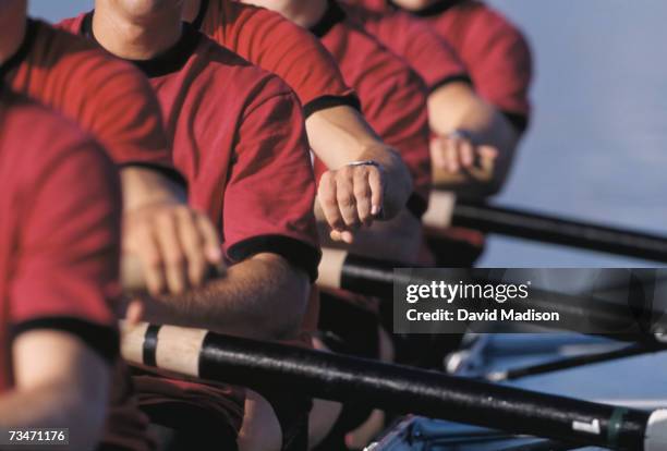 men's crew team rowing in unison, close-up - rowing foto e immagini stock