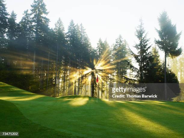 empty golf course with flag and surrounding trees - golf course stock pictures, royalty-free photos & images
