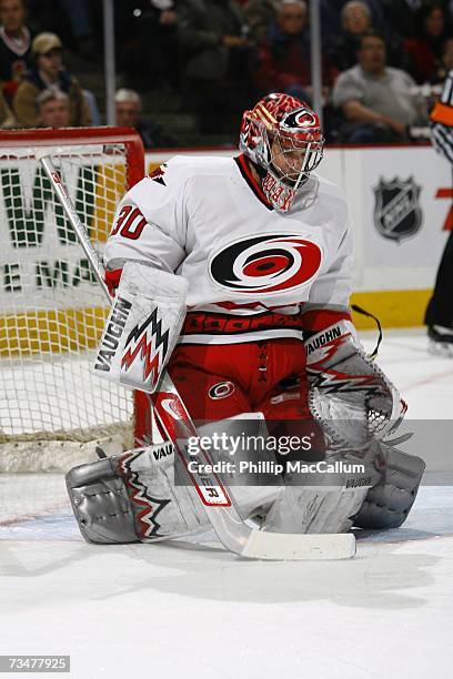 Cam Ward of the Carolina Hurricanes makes a butterfly style save off a shot by the Ottawa Senators in a game on February 28, 2007 at the Scotiabank...