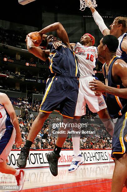 Dingleton James James Singleton Basketball Player Photos and Premium High Res Pictures ...