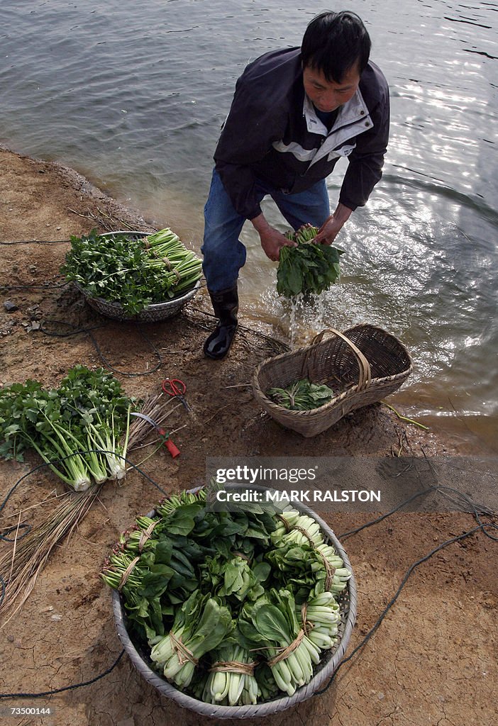 A man washes vegetables at Poyang lake,...