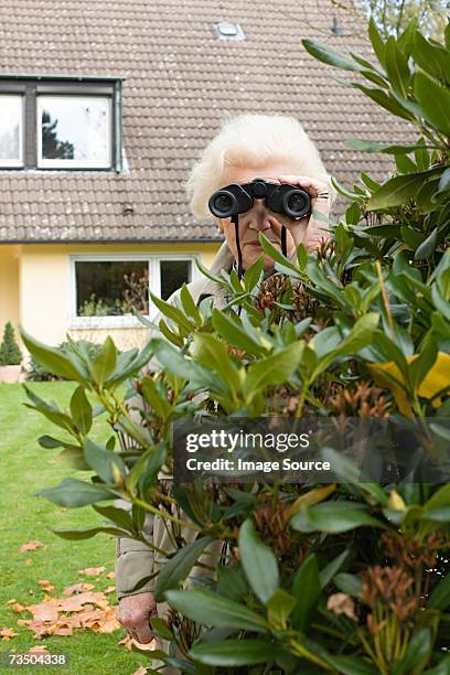 senior woman spying - nosy woman stock pictures, royalty-free photos & images