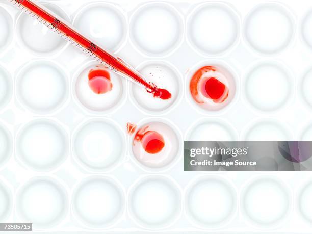 microplate and pipette - microplate stock pictures, royalty-free photos & images