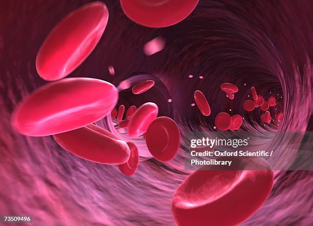 stockillustraties, clipart, cartoons en iconen met red blood cell, computer generated image - red blood cells