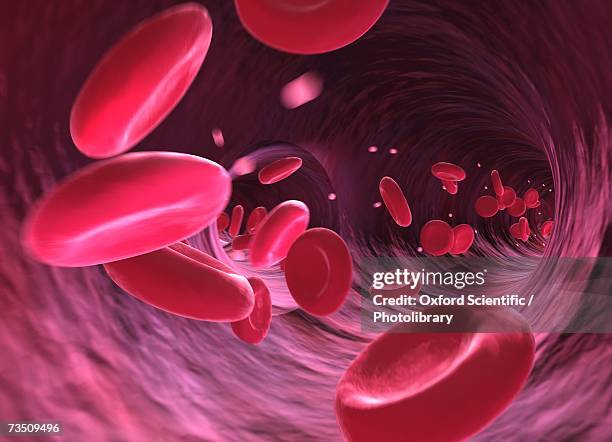 red blood cell, computer generated image - blood cells stock illustrations