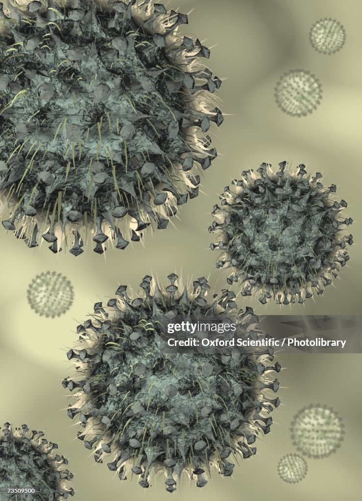 Flu Virus, computer generated image