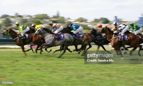 The field make a start in the Pak N Sav Ellerslie Oaks race during the Auckland Cup Day meeting at Ellerslie Race Course on March 7, 2007 in...