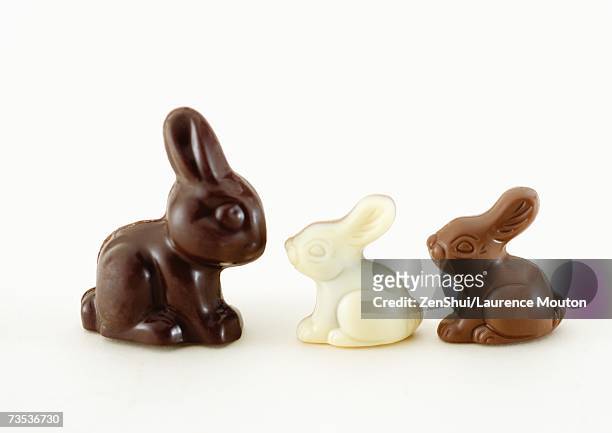 chocolate bunnies - osterhase schokolade stock-fotos und bilder