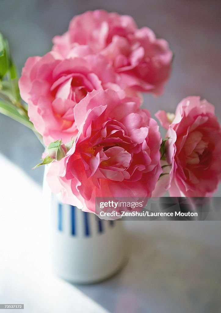 Peonies in vase