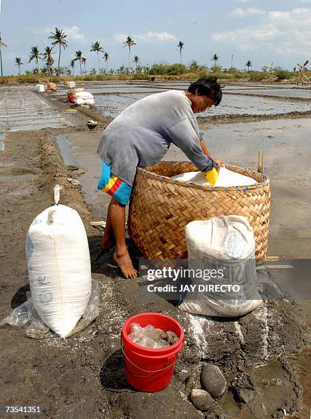 Sixto Obidiente bags salt to be sold in Bago, Negros Occidental, Central Philippines, 09 March 2007. Salt making starts from March during the summer...