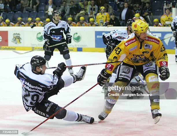 Krefeld's Rainer Koettstorfer and Hamburg's Alexander Barta compete during the DEL Bundesliga play off qualification game between Krefeld Pinguine...