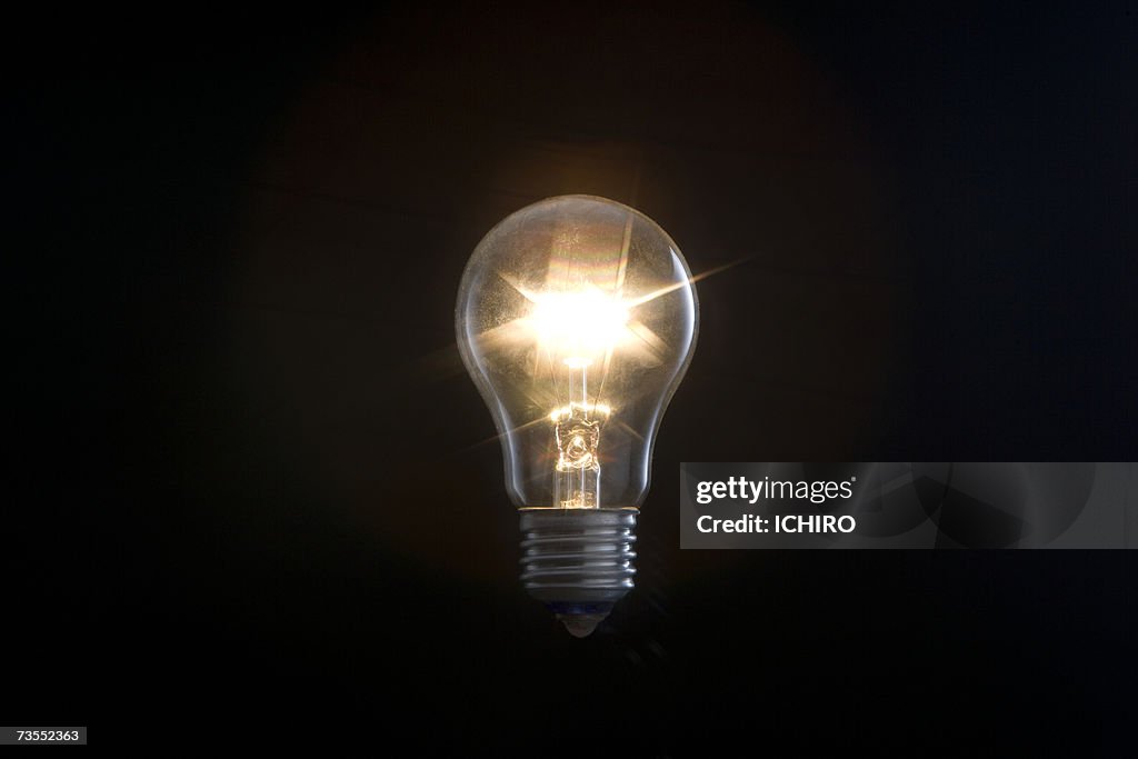 Electric light bulb