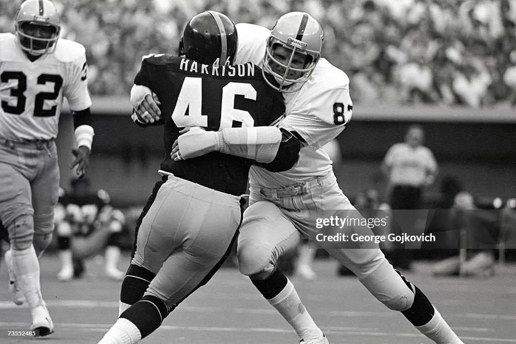 Raiders Ted Hendricks