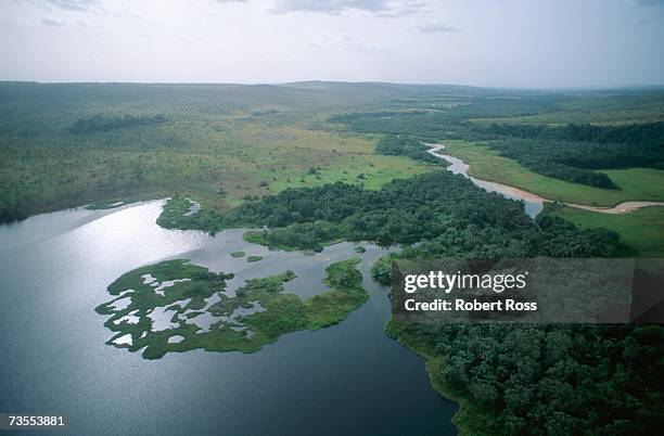 an aerial view of a delta at bateke national park - gabón fotografías e imágenes de stock