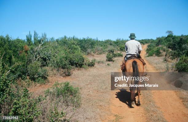 Bush Ranger Photos and Premium High Res Pictures - Getty Images