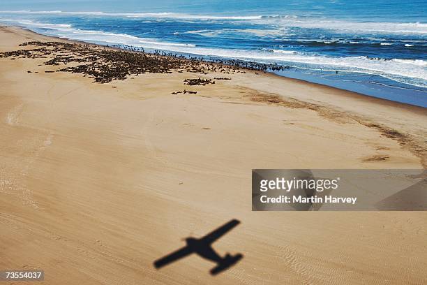 aerial view of shore line - namibia airplane stock pictures, royalty-free photos & images