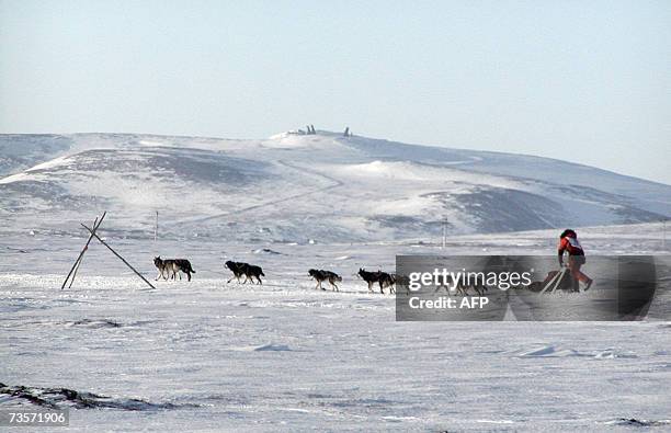 On his way to victory, 2007 Iditarod champ Lance Mackey mushed towards Nome, Alaska, 13 March 2007. Mackey, a cancer survivor nobody thought could...