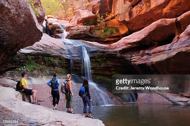 usa, utah, group of hikers at canyon waterfall - ザイオン国立公園 ストックフォトと画像