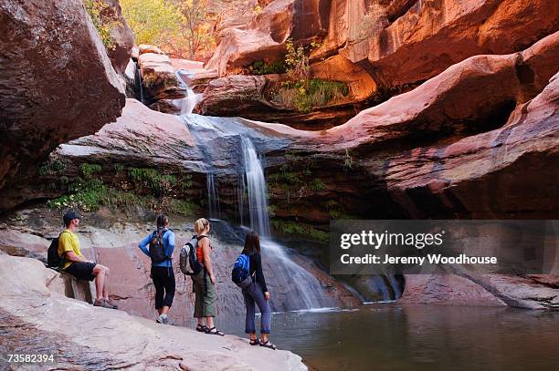 usa, utah, group of hikers at canyon waterfall - zion national park stock pictures, royalty-free photos & images