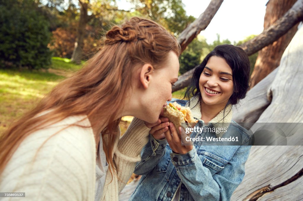 Two best frineds eating a sandwich together in nature