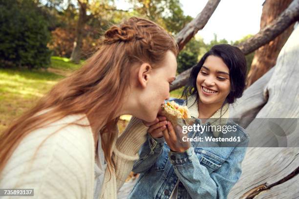 two best frineds eating a sandwich together in nature - eating sandwich stock-fotos und bilder