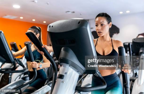 two women working out in gym using an elliptical trainer - cross trainer stock-fotos und bilder