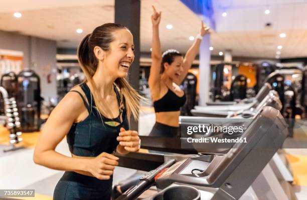 two happy women working out in gym on a treadmil - トレッドミル　女性 ストックフォトと画像