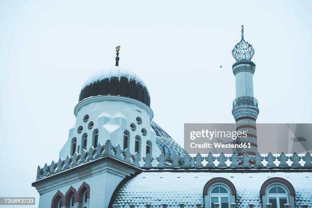 germany, dresden, yenidze, former tobacco factory - historicism stock pictures, royalty-free photos & images