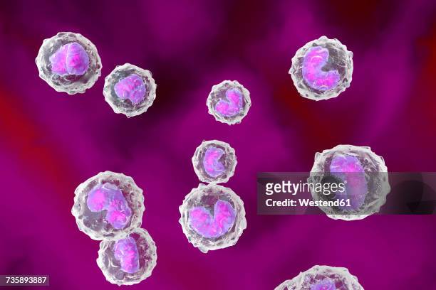 monocyte immune system defense cells, 3d rendering - the immune system stock illustrations
