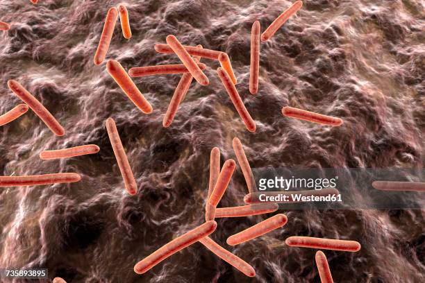illustrazioni stock, clip art, cartoni animati e icone di tendenza di tuberculosis bacteria in an organism, 3d rendering - virus organism