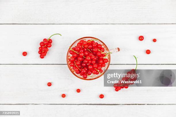 glass of red currants on white wood - groselha vermelha imagens e fotografias de stock