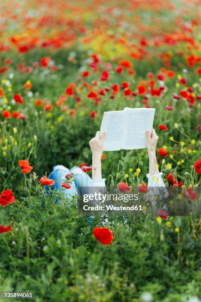 woman lying in a field reading a book - roman landscapes stockfoto's en -beelden