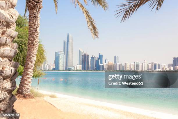 uae, abu dhabi, palm, beach and skyline - abu dhabi stockfoto's en -beelden