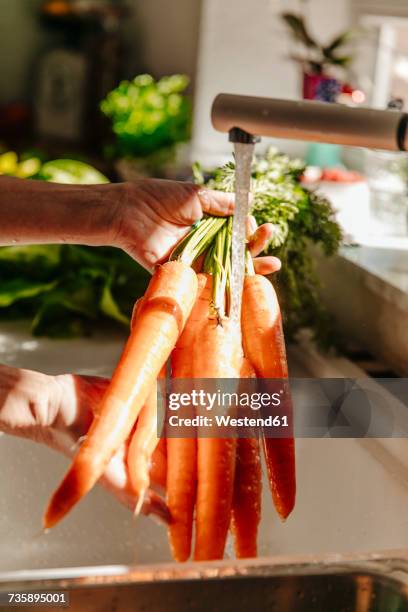 washing carrots in kitchen - carrot stock pictures, royalty-free photos & images