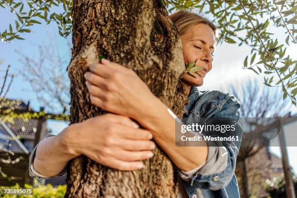 woman in garden hugging a tree - zen like stock pictures, royalty-free photos & images