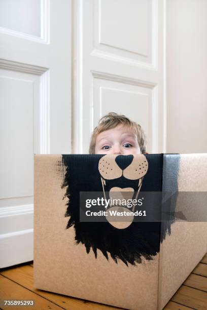 boy inside a cardboard box painted with a lion - animal body part stock pictures, royalty-free photos & images