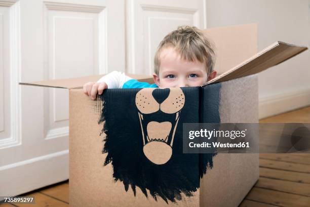 boy inside a cardboard box painted with a lion - paintings of lions stock pictures, royalty-free photos & images
