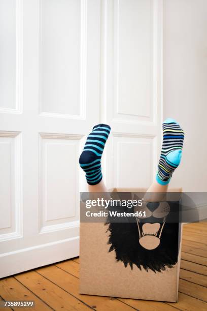 legs of a boy inside a cardboard box painted with a lion - boy in a box stockfoto's en -beelden