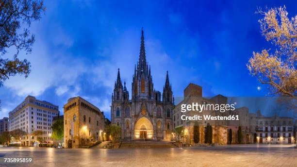 spain, barcelona, panoramic view of barcelona cathedral - barcelona cathedral stock pictures, royalty-free photos & images