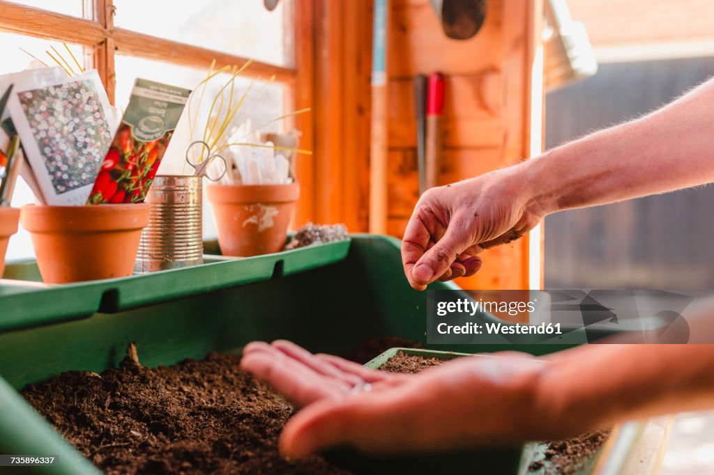 Planting and sowing seeds