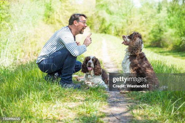 man training dogs - dog trainer stock pictures, royalty-free photos & images