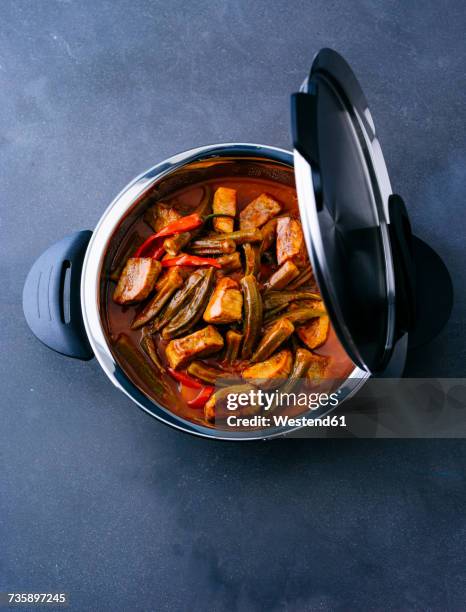 pot of veal stew with okras - stew pot photos et images de collection