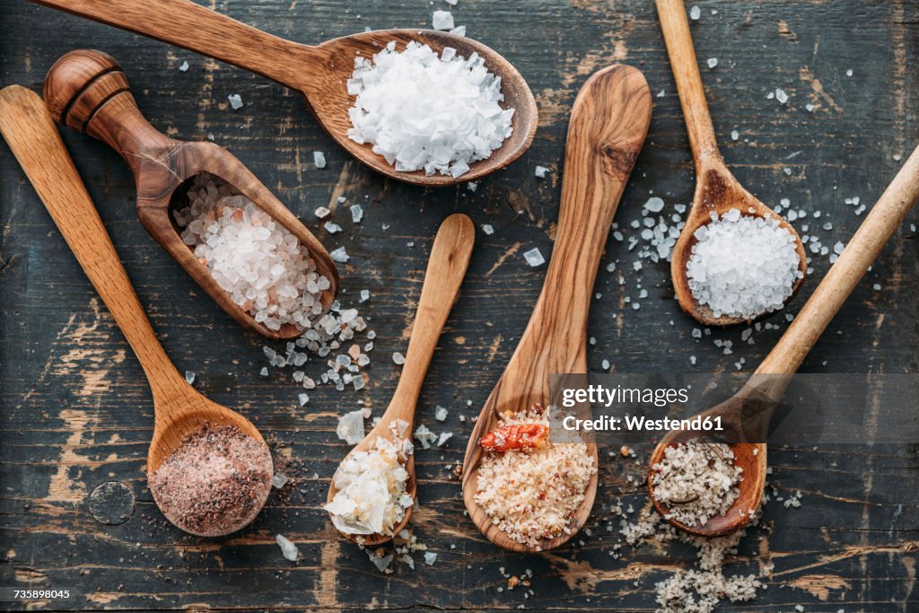 Wooden spoons with different sorts of salt
