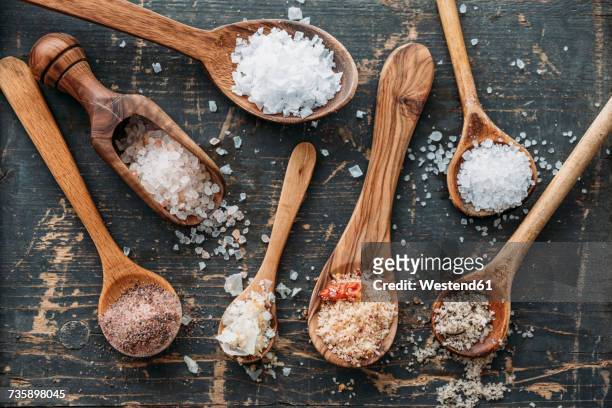 wooden spoons with different sorts of salt - salt stockfoto's en -beelden