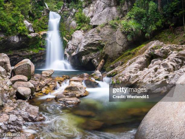 new zealand, south island, abel tasman national park, wainui falls - abel tasman nationalpark stock-fotos und bilder