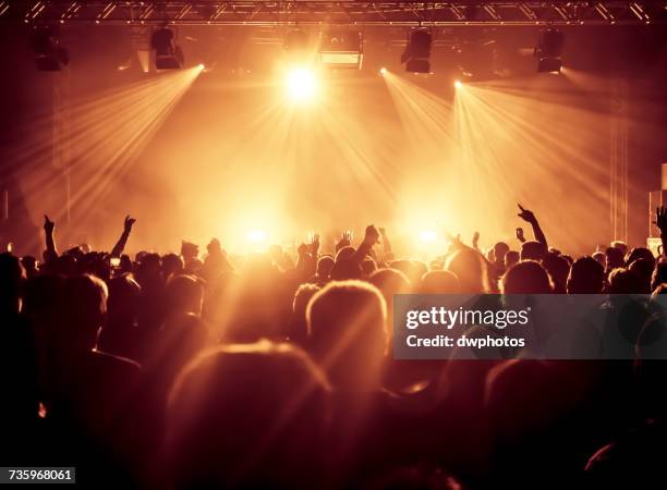 People Crowd Standing Back View Photos and Premium High Res Pictures ...