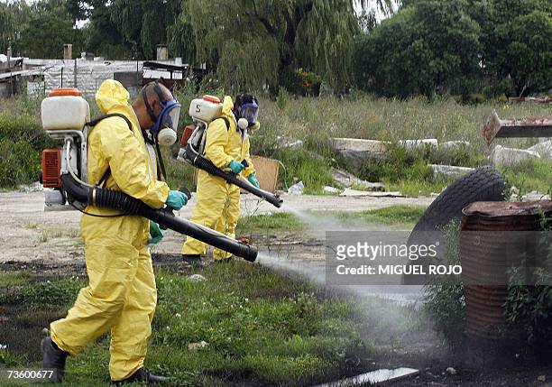 Funcionarios de la Division Higiene de la Intendencia de Montevideo fumigan el 15 de marzo de 2007 un terreno baldio en el marco de la campana contra...