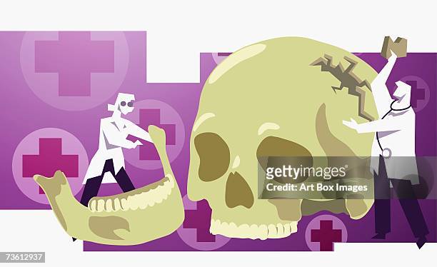 ilustraciones, imágenes clip art, dibujos animados e iconos de stock de female doctor examining a human jaw bone and a male doctor holding a piece of a damaged human skull - curso de primeros auxilios
