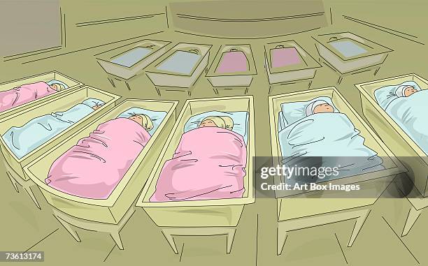 high angle view of newborn babies sleeping in cribs in a hospital nursery - babybett krankenhaus stock-grafiken, -clipart, -cartoons und -symbole