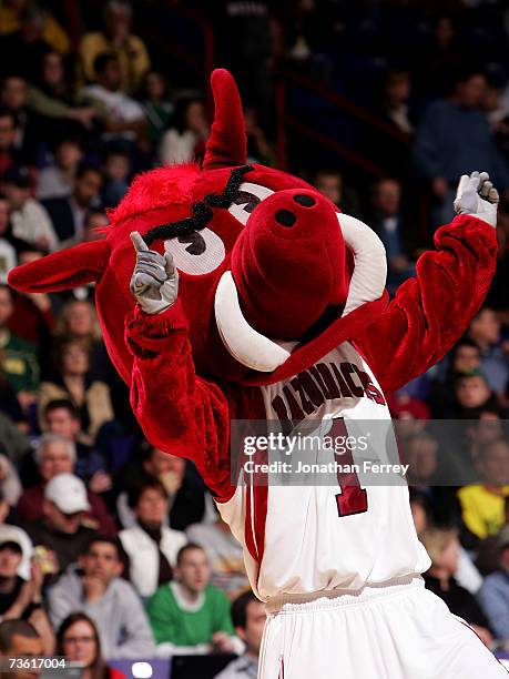Happy Razorback Fans Arkansas Razorbacks Photos and Premium High Res Pictures - Getty Images